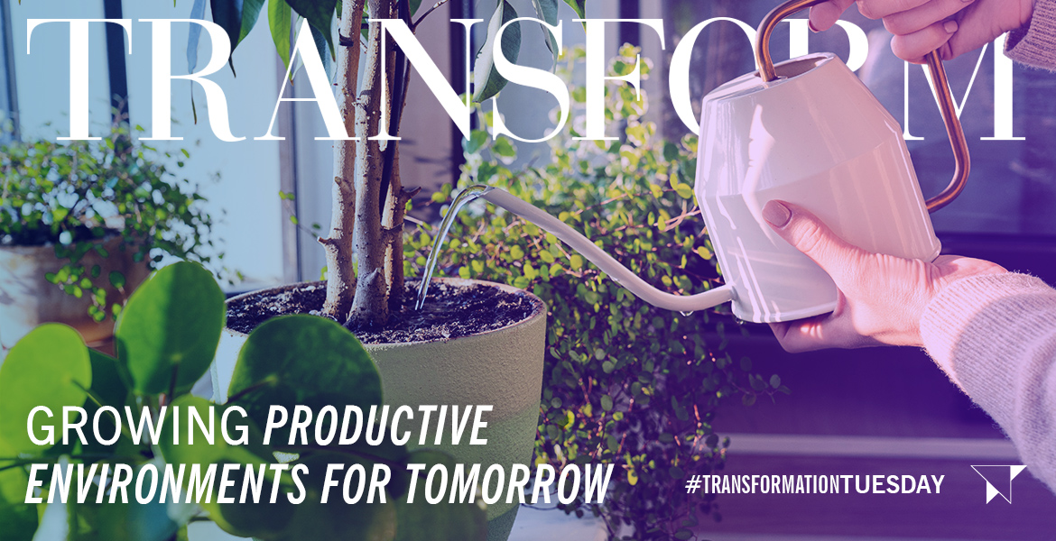 Growing Productive Environments For Tomorrow